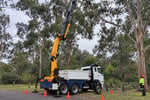 Highly Profitable Tree Services Business - $1.22M FY26 Profit - Brisbane