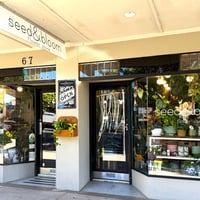 LEASEHOLD - Seed & Bloom Flower Store, Wangaratta - 1P0586 image