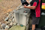 Pest Control - Termite Inspections / Management - Central Coast, NSW