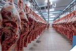 NSW Meat Wholesalers 36 years Established $ 12 mil T/0 Per Year High Profits