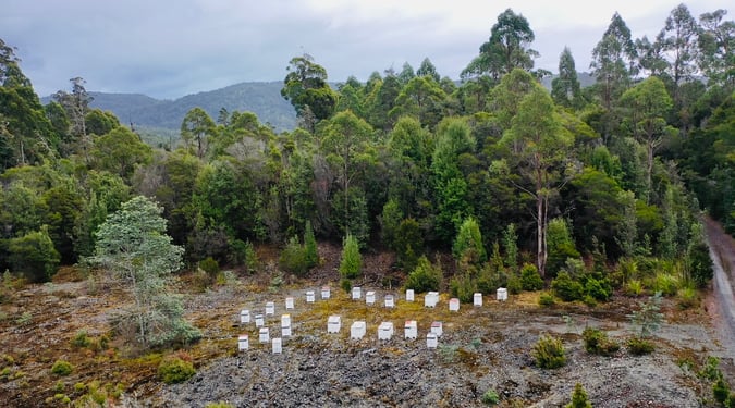 Asset-Based Small Scale Commercial Beekeeping Opportunity for Sale