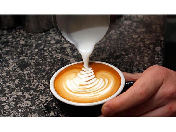 Licensed Cafe For Sale - Brighton