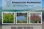 Whole Business at Equipment Price Only!