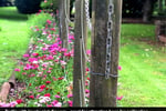 HERITAGE SEED BANK and OPEN GARDEN