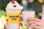 Profitable Franchise Piccolo Me in Western Sydney