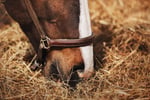 MASSIVE PRICE DROP Retail Produce & Farm/Rural Supplies, Under Management, Mid-North Coast