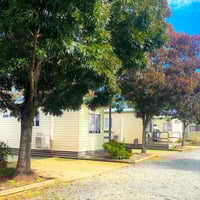 UNDER OFFER - BIG 4 Cabin Park Hay, NSW - 1P0183 image