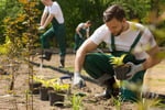 Landscaping Business -   Recurring Revenue + Strong Growth!