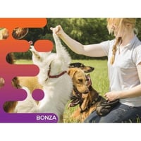 36875 Longstanding & Highly Reputable Dog Training Business - Proven Operation image
