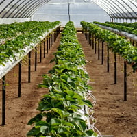 Coming Soon - Unique Business - Hydroponics Industry image