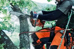 Jim\'s Tree lopping.