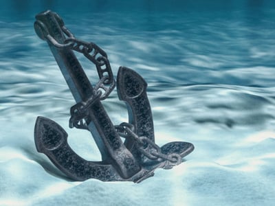 Exceptional Wholesale Trade Opportunity  Gold Coast  Profit $613,000 image