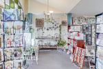 Homewares and Gift Shop - Berry, NSW