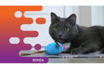34184 Highly Renowned Pet Shop - 18+ Years