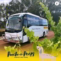 Unique Tours & Events for Dogs and Their People image