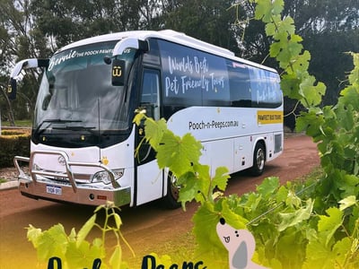 Unique Tours & Events for Dogs and Their People image