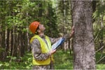 For Sale: Established Professional Tree Service - Thriving Business With Substantial Equipment