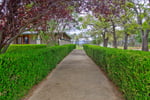 Winery in Mudgee, NSW