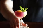 Award-Winning Cocktail Lounge & Catering Business For Sale - Darwin City - Prime CBD Location - Annual Turnover of Approx. $900,000 - Fully Equipped -
