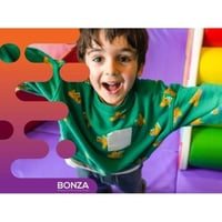 36182 Profitable Kids\' Soft Play Hire Business  Flexible Opportunity image