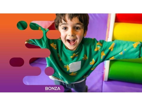 36182 Profitable Kids\' Soft Play Hire Business  Flexible Opportunity