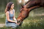 Million Dollar Sales, Animal and Pet Products #347