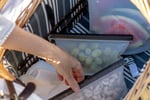Online eCommerce Business - Wellness and Lifestyle - National Opportunity