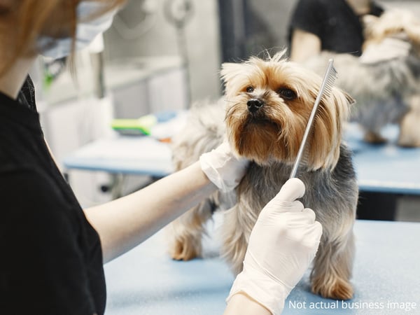 EXPRESS SALE - Pet Grooming at 9 locations in Metro Melbourne