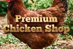 Premium Chicken Shop and Takeaway - 5893