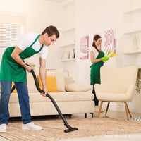 Established Domestic Cleaning Business - Melbourne (Northern Suburbs) image