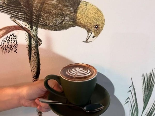 Caf?/Bar Partnership - Ideal Entry for First Time Operator (Buy-Out Option)