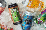 Iconic Craft Beers, Craft Cocktails & Craft Kitchen -Lifestyle Sea change Opportunity