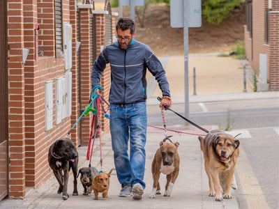 Photo of Very Enjoyable Business - Beautiful Pets