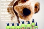 Award-Winning Australian Dog Haircare Brand with Global E-Commerce Opportunity