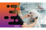 35482 Popular Pet Grooming Salon on the Sunshine Coast