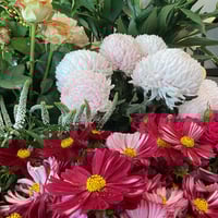 Established Florist & Giftware Business WIWO image