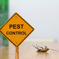 Dual Force Pest Control - Atherton Tablelands, Earns $150k PA image