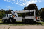 Arboricultural Business: Melbourne