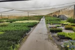 Leased  Nursery and spa supplies. Wholesale and Retail with 18.5 Acres and 3 bedroom home and pool