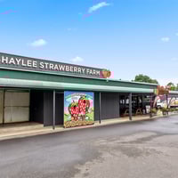 Shaylee Strawberries image