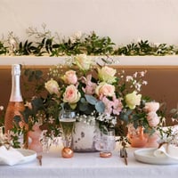 SUCCESSFUL, ESTABLISHED BRAND WITH MASSIVE POTENTIAL! image