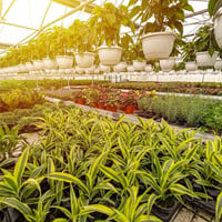 Horticulture, Nursery and Agriculture Businesses for Sale image