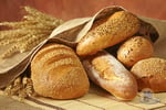Bakery with Commercial Holding