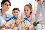 Stem Education Business| ID: 1358