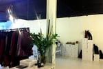 Iconic Womens Fashion eCommerce Business - National Opportunity