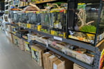 WA s Only Exclusive Reptile and Hydroponic Shop - East Rockingham, WA