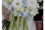 Established Florist & Giftware Business WIWO