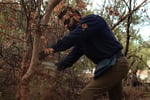 Established Gardening Business(Plant & Equipment Price Only)