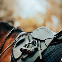 34144  Thriving Equine Accessories & Clothing Retail Store image