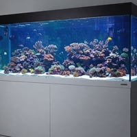 Established Aquarium Maintenance Business - Sydney, NSW image